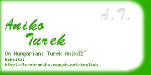 aniko turek business card